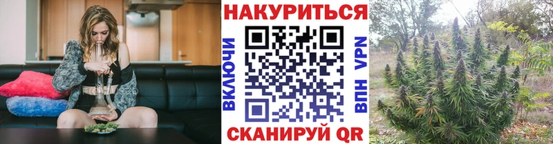 Сколько стоит Починок ГАШ  A PVP  Меф  АМФЕТАМИН  kraken ONION  Бошки Шишки 
