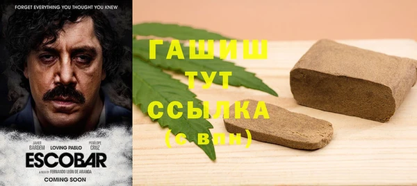 индика Нязепетровск