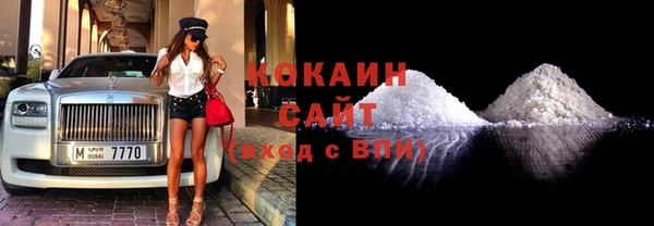 трава Няндома