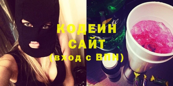 трава Няндома