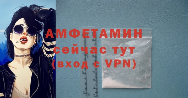индика Нязепетровск
