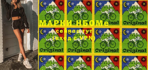 индика Нязепетровск